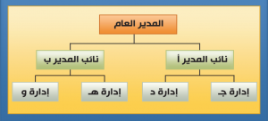 أنواع التنظيم